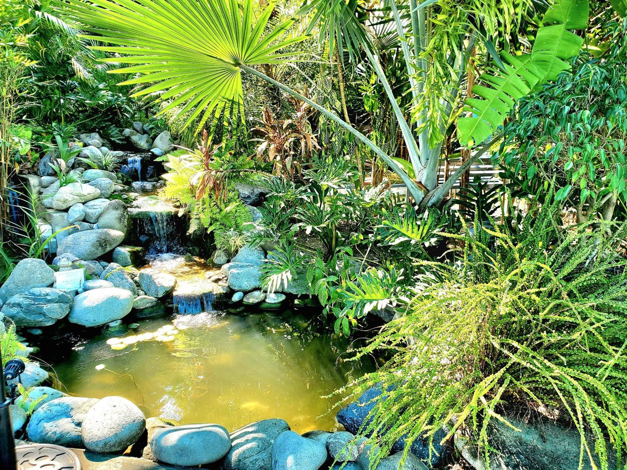 Hidden Palms Inn San Juan  Dış mekan fotoğraf